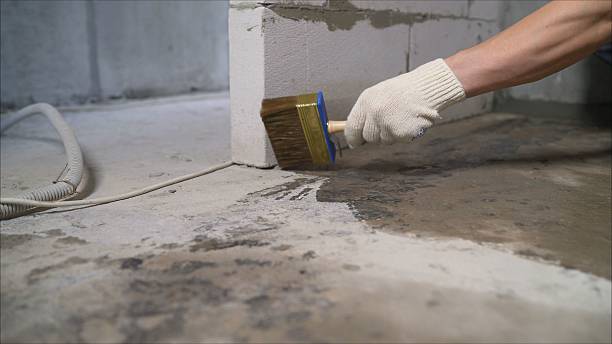 SJ Waterproofing Pros Waterproofing coverage map for Coalmont, IN and surrounding area